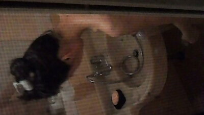 Blondi, jolla on suuret tissit ja tatuoinnit, saa hänen kuskinsa luuttomaksi